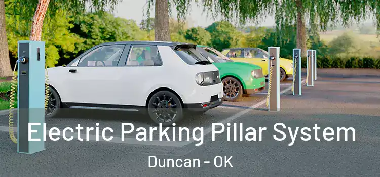 Electric Parking Pillar System Duncan - OK