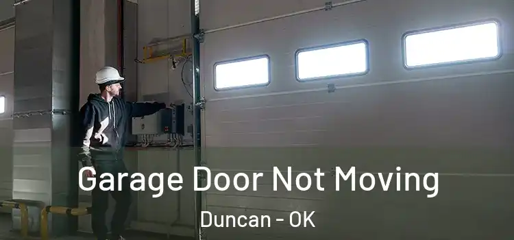  Garage Door Not Moving Duncan - OK