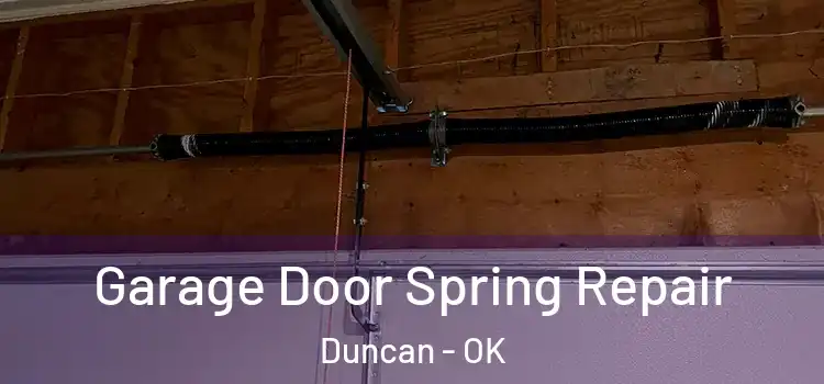  Garage Door Spring Repair Duncan - OK
