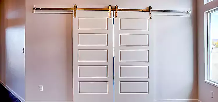 Glass Barn Door with Installation Hardware Kit Duncan